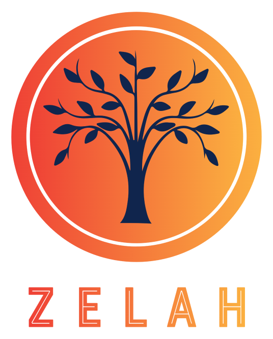 Zelah Solutions Ltd Logo